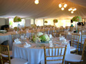 Gold Chiavari Chairs