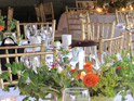 Gold Chiavari Chairs