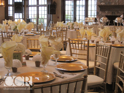 Gold Chiavari Chairs