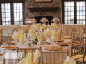 Gold Chiavari Chairs