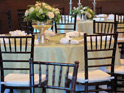 Mahogany Chiavari Chairs