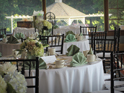 Mahogany Chiavari Chairs