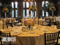 Mahogany Chiavari Chairs