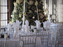 Silver Chiavari Chairs