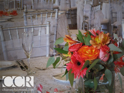 Silver Chiavari Chairs