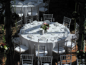 Silver Chiavari Chairs
