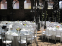 Silver Chiavari Chairs