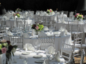 Silver Chiavari Chairs